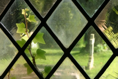 Ivy and grave through a church window